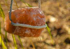 Himalayan Salt Lick